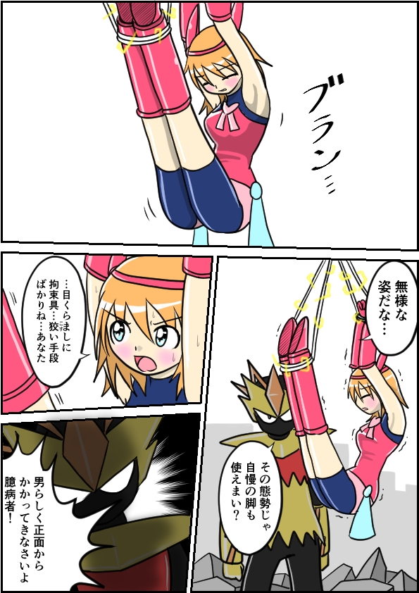 正義の味方の敗北譚