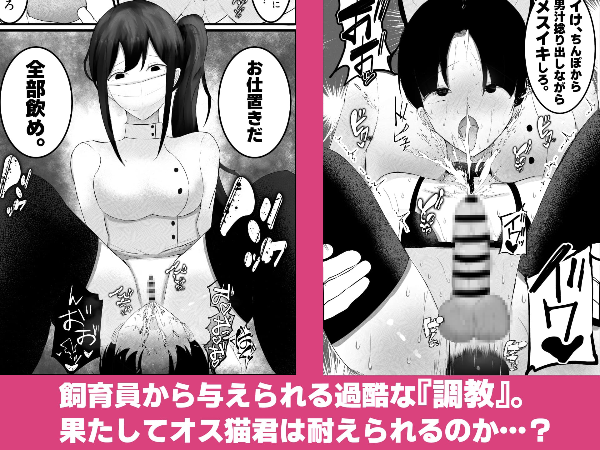 飼育員のお姉さんが可愛いオス猫を『調教』する話