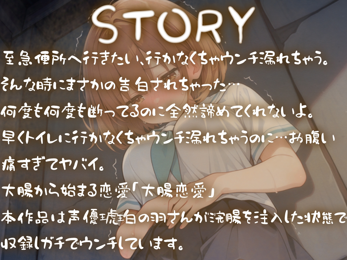 うんち我慢してる女の子に告白!!告白成功するまで絶対に逃さない~至急便所『大腸から始まる恋愛』~