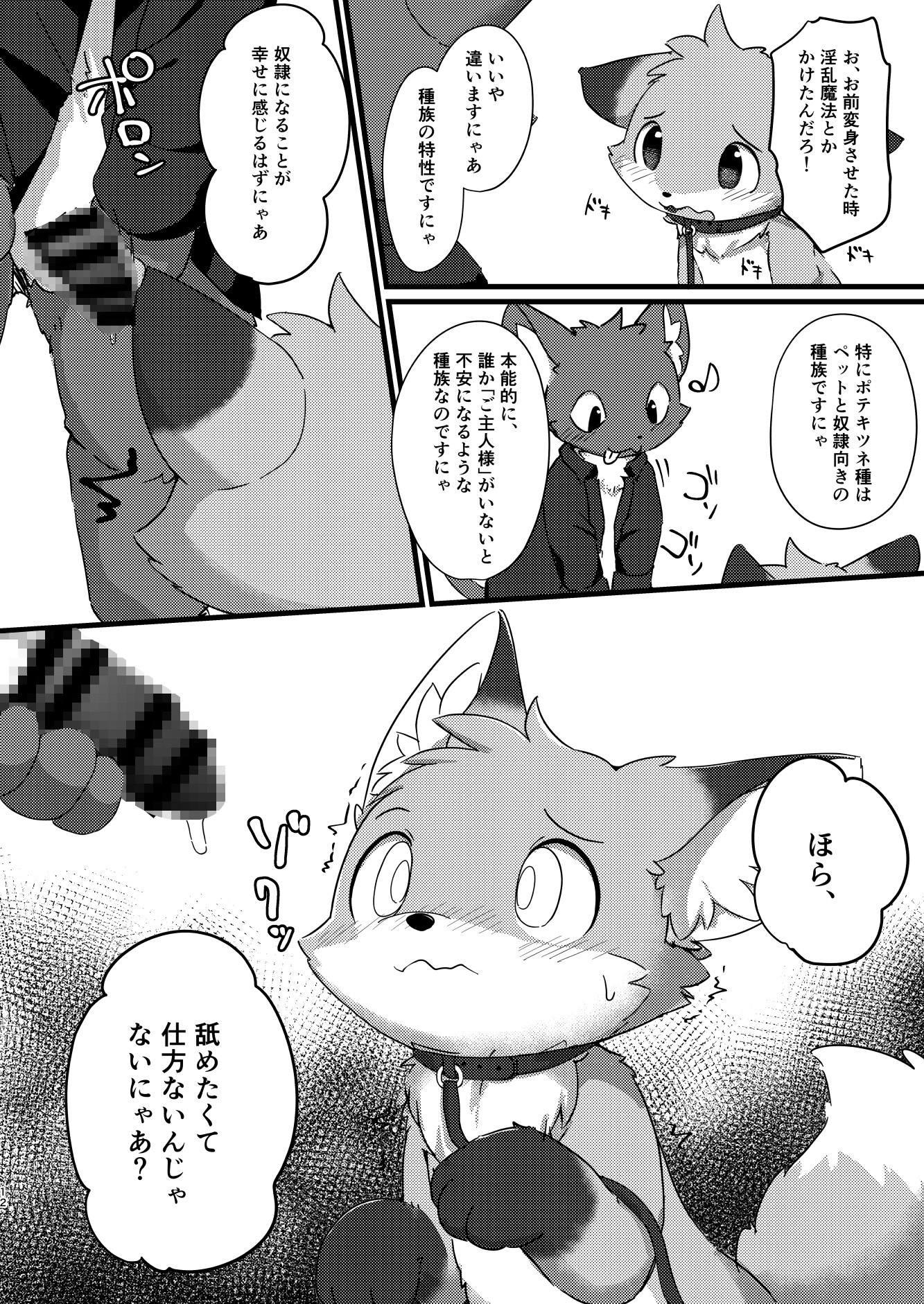 ○リキツネになろう！