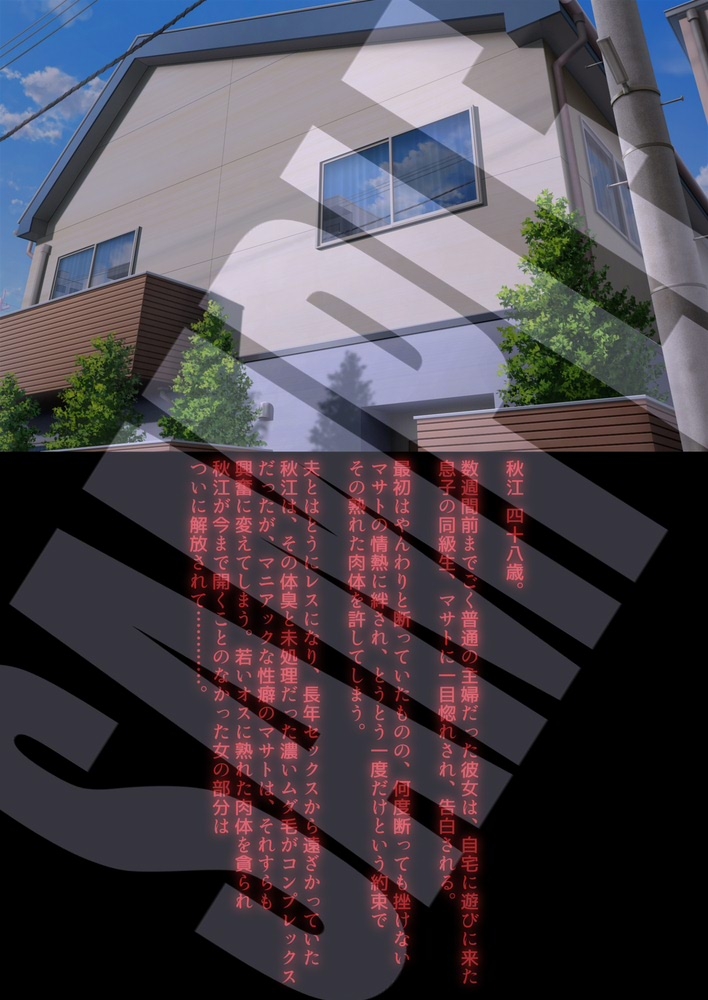 STEEL WORKS on Skeb vol.2