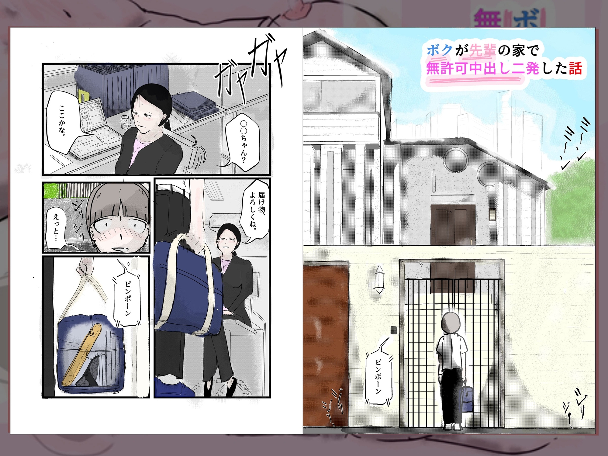 ボクが先輩の家で無許可中出し二発した話