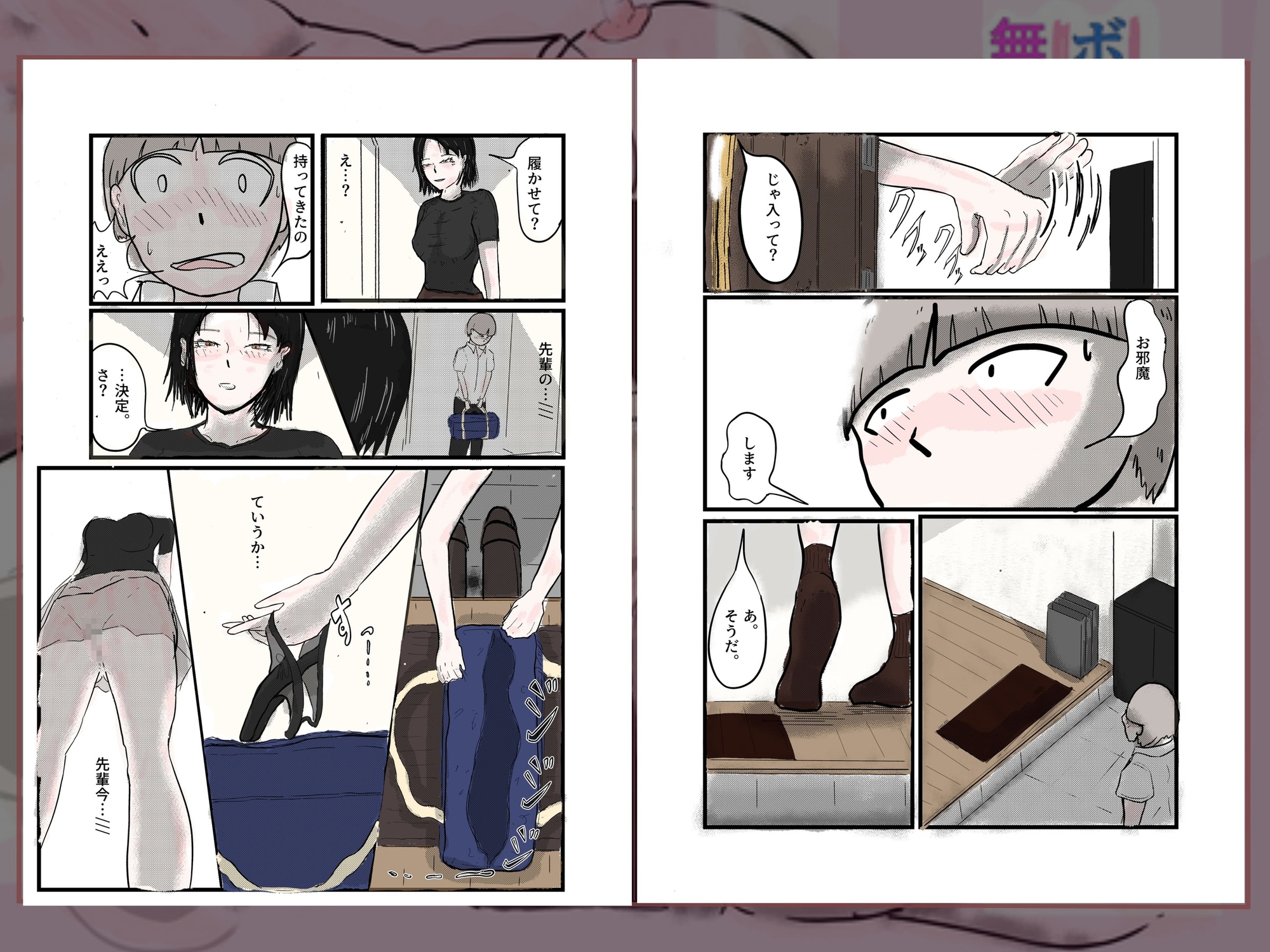 ボクが先輩の家で無許可中出し二発した話