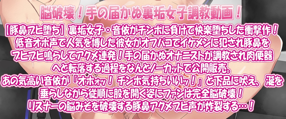 【豚鼻ブヒ堕ち】フォロワー脳破壊！手の届かぬオナニスト裏垢女子が突然オフパコ動画公開！調教交尾肉便器堕ち