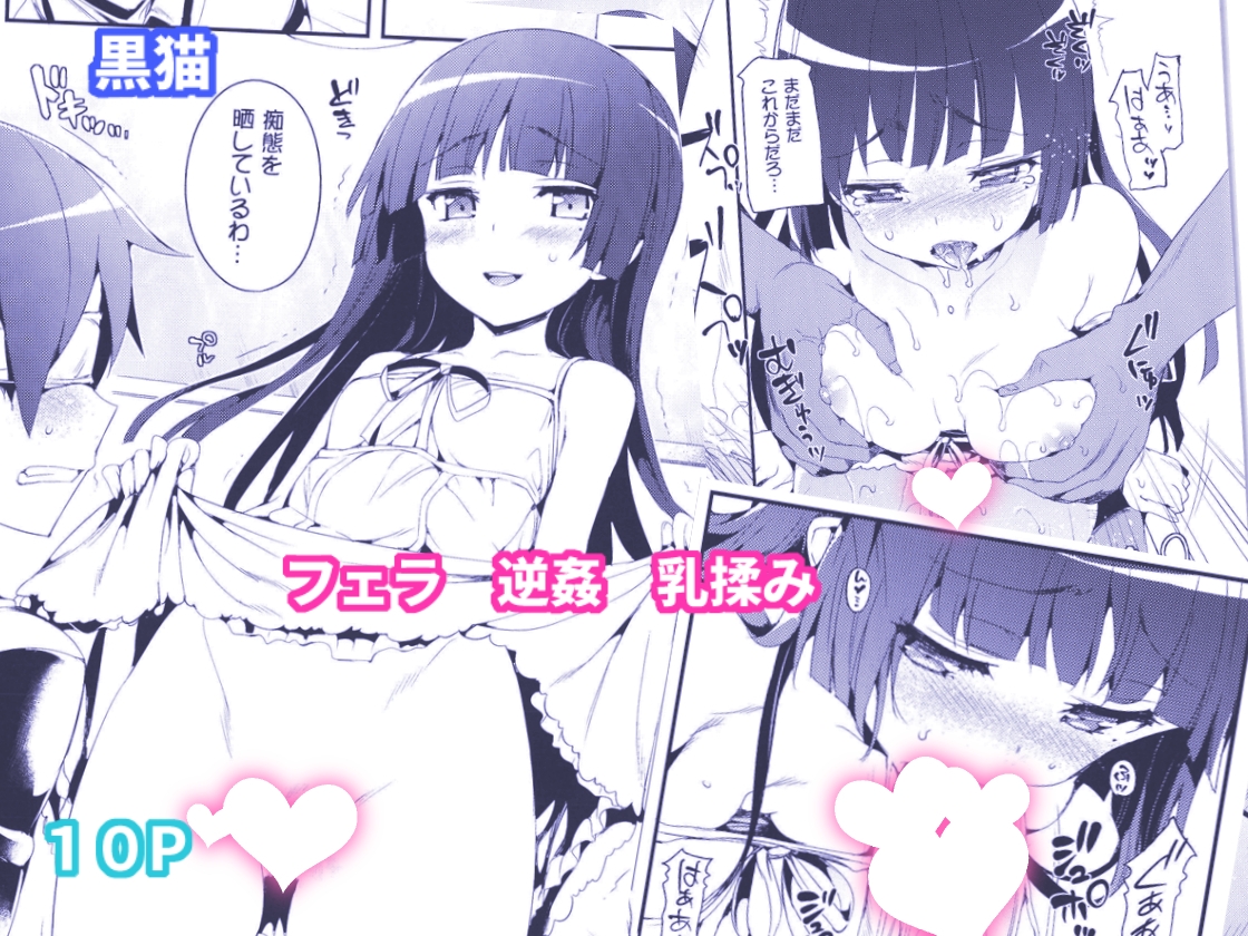 ねこはまんまがうつくしい 最初のまとめ本