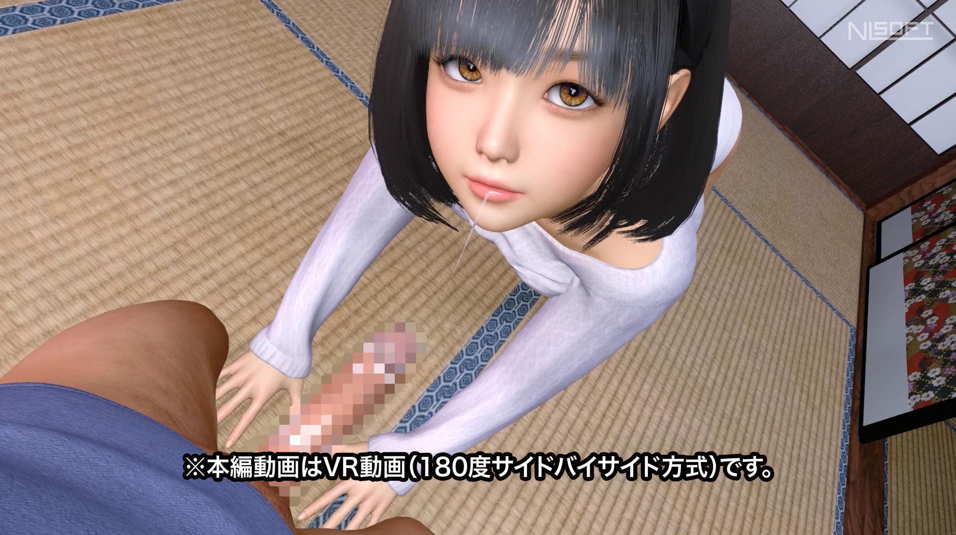 【8KVR動画】むっつり彼女VRその3