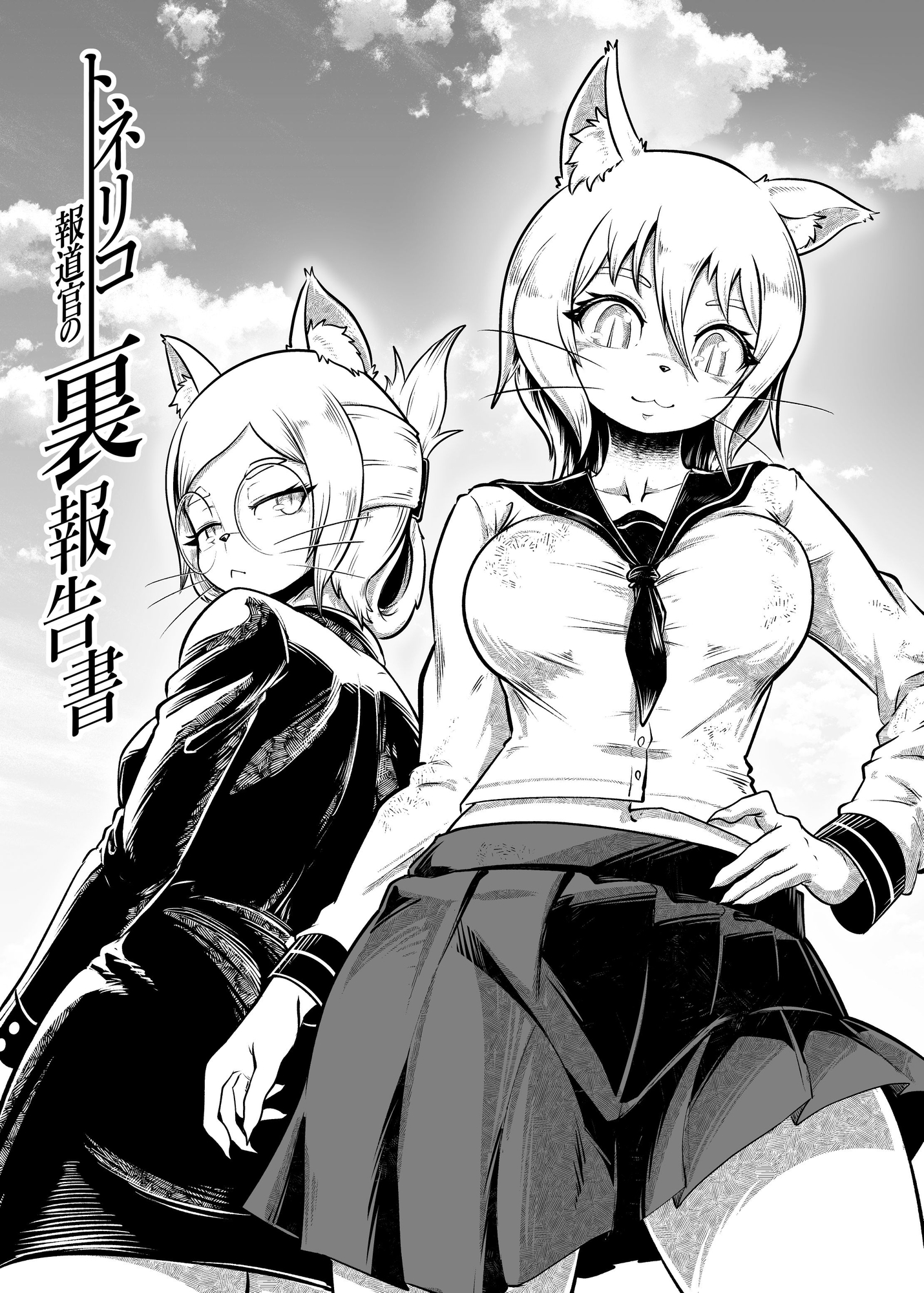 トネリコ報道官の裏報告書2