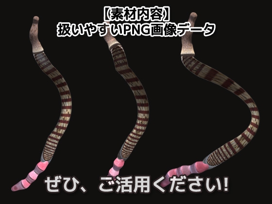 寄生虫の画像素材～商用OK著作権フリー～3D画像素材シリーズ