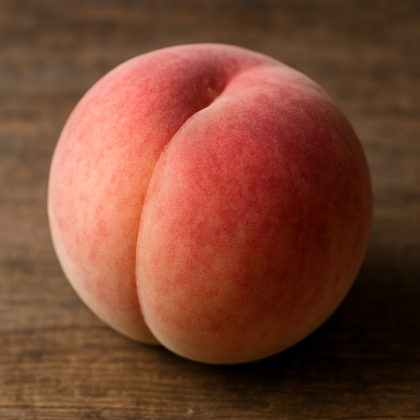 『隣のギャルが、僕のちんこを観察してくるだけの話(2)』