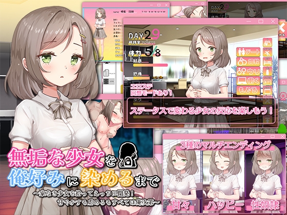無垢な少女を俺好みに染めるまで～家なき少女を拾ってえっちに開発！ 甘やかすも虐めるもすべては俺次第～