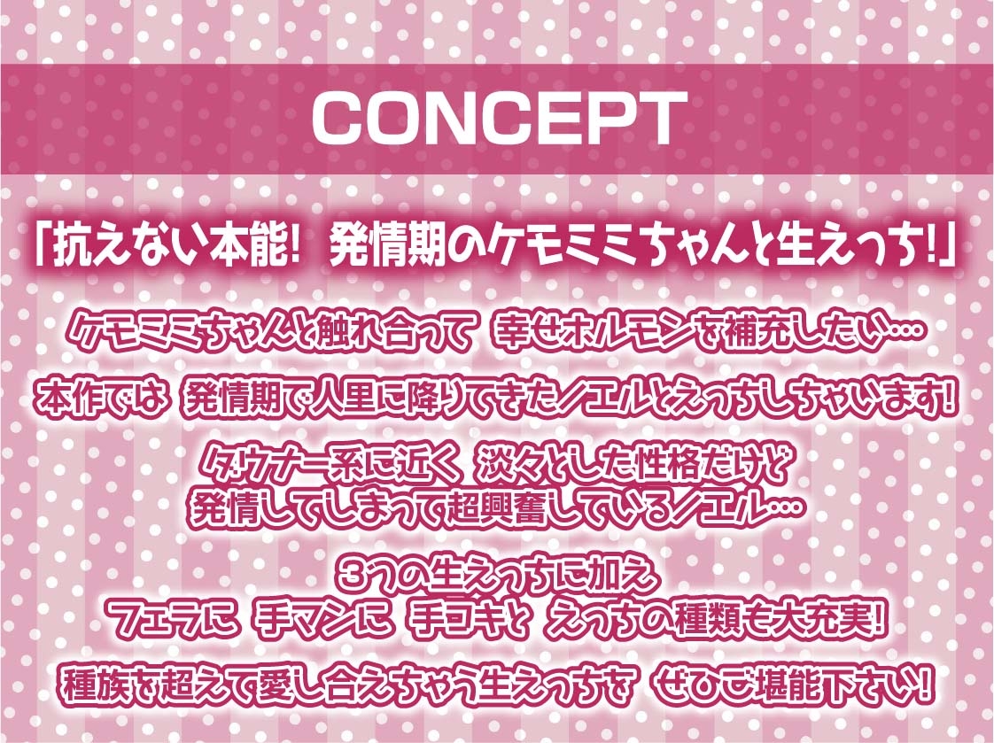 無口ケモミミちゃんと繁殖交尾【フォーリーサウンド】