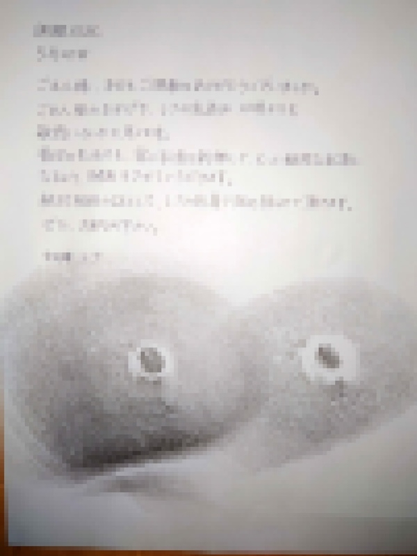 乳首開発調教(3)～鈴付きニップルクリップをつけ四つん這いにさせスパンキングパドルでお仕置きー～開発済みの乳首で絶頂する変態女(レナの調教記録～006)