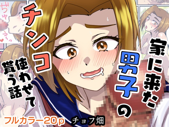 家に来た男子のチンコ使わせて貰う話