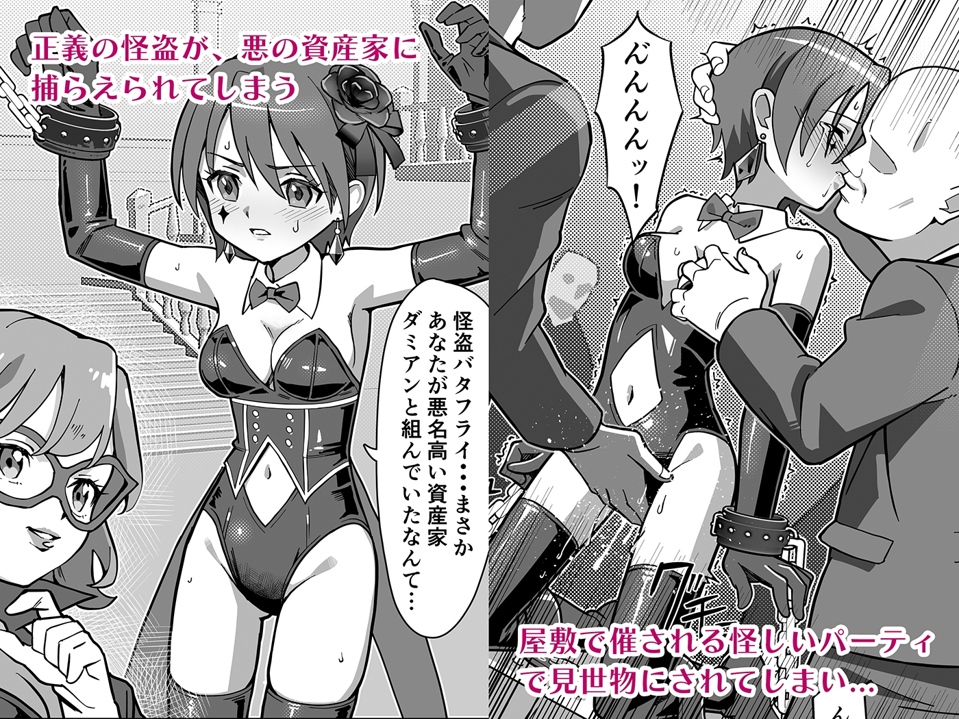 幻影怪盗ルノワール