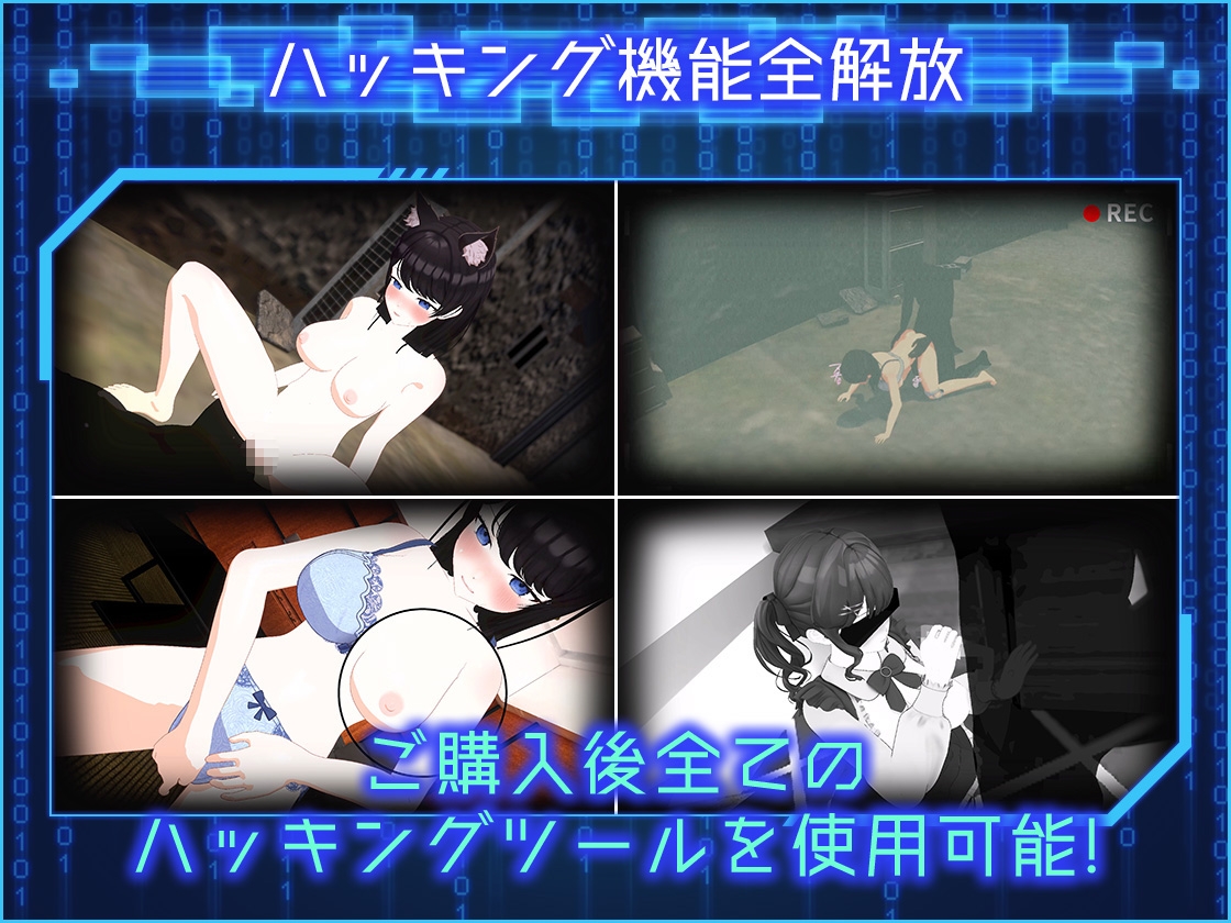 LOOK.hacII -ルック・ハックII-【Hシーン全解放DLC】