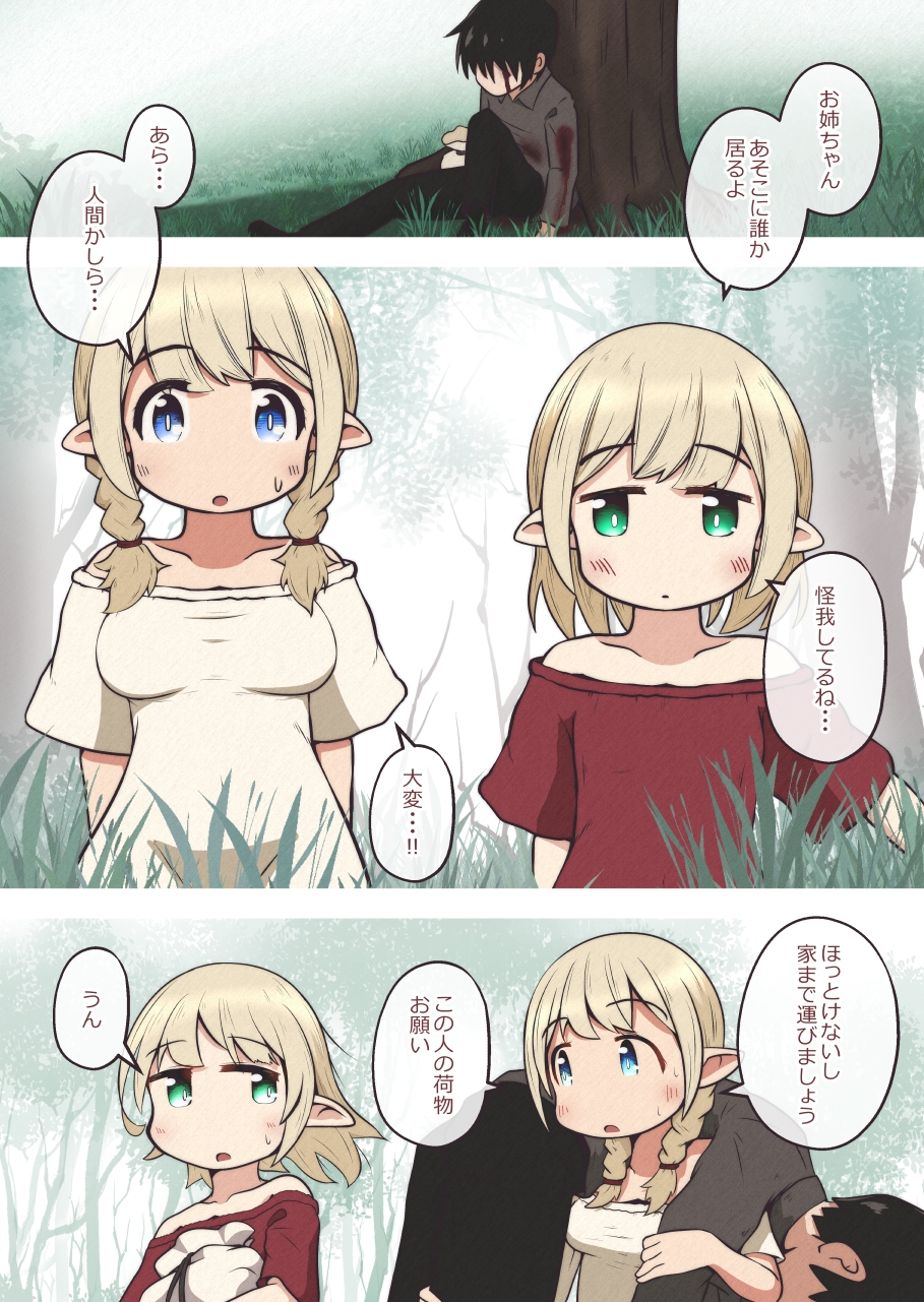 エルフの姉妹に助けられた冒険者が性奴○にされるお話