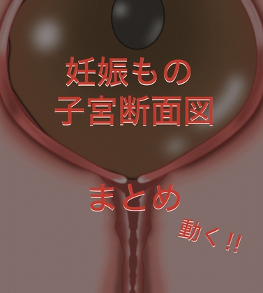 動く‼︎妊娠もの断面図もの まとめ