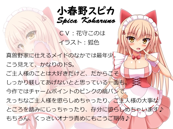 ご主人様、きっつい躾が必要ですね♪ 全作まとめ買いセット