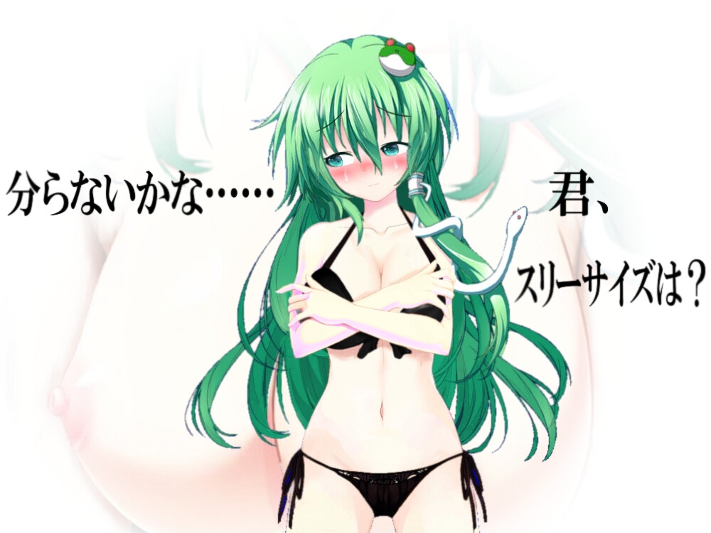 幻想郷の身代わり少女~あの子のためなら私は~