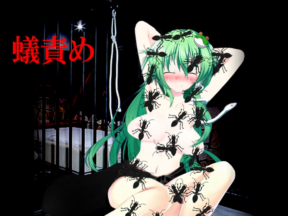 幻想郷の身代わり少女~あの子のためなら私は~