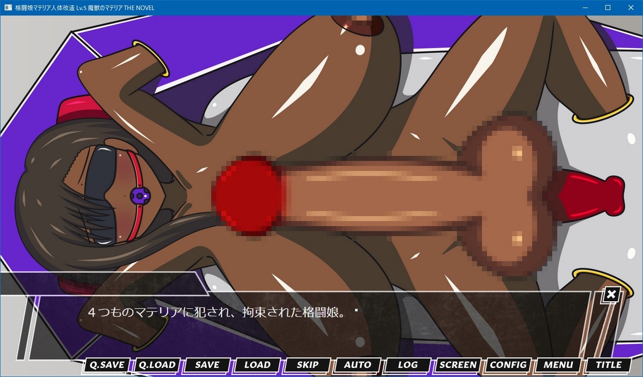 格闘娘マテリア人体改造 Lv.5 魔獣のマテリア THE NOVEL