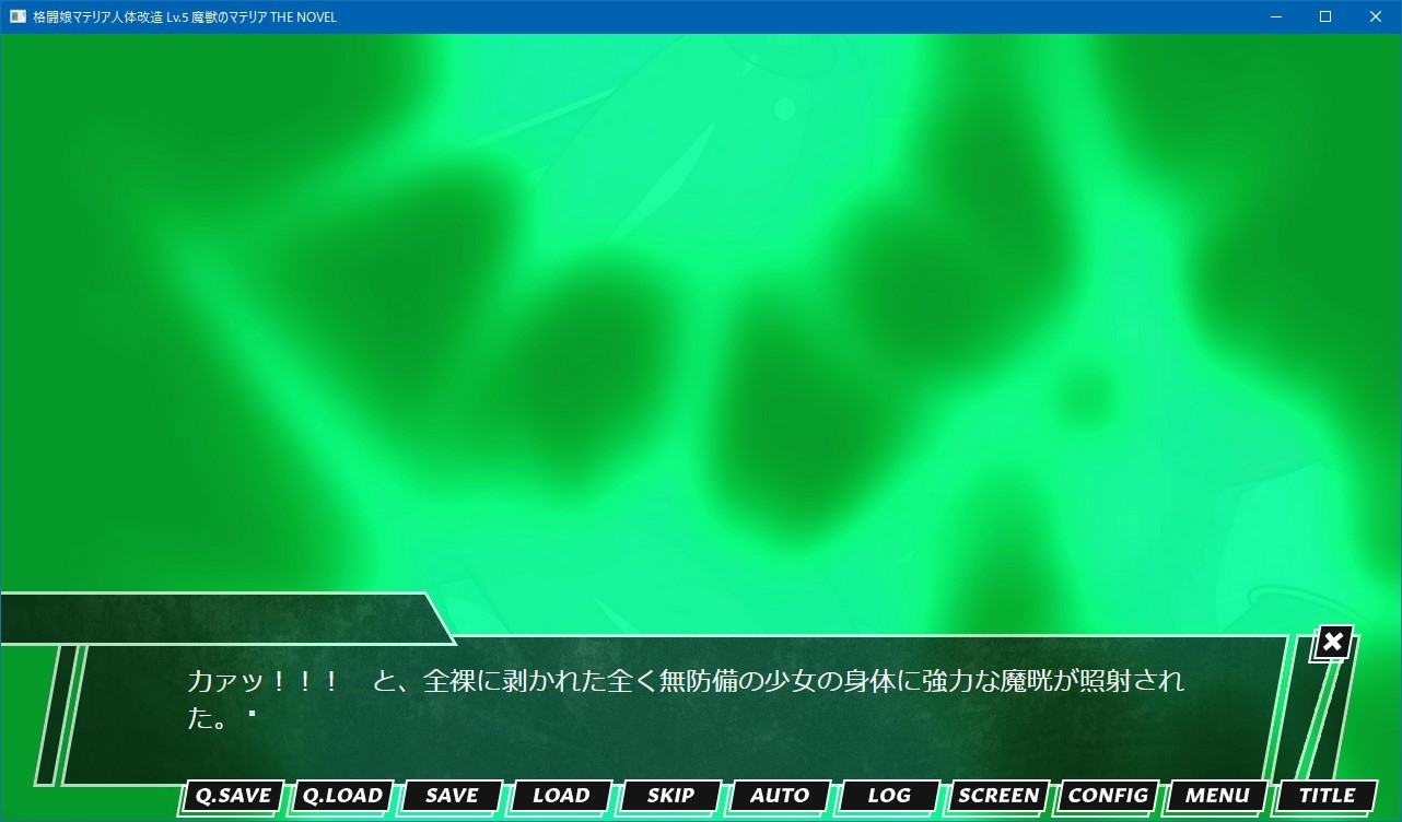 格闘娘マテリア人体改造 Lv.5 魔獣のマテリア THE NOVEL