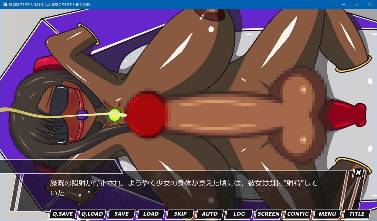 格闘娘マテリア人体改造 Lv.5 魔獣のマテリア THE NOVEL