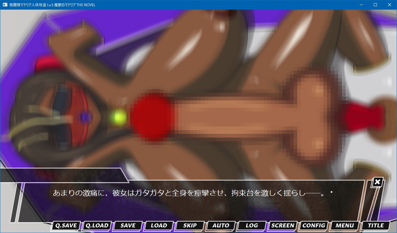 格闘娘マテリア人体改造 Lv.5 魔獣のマテリア THE NOVEL