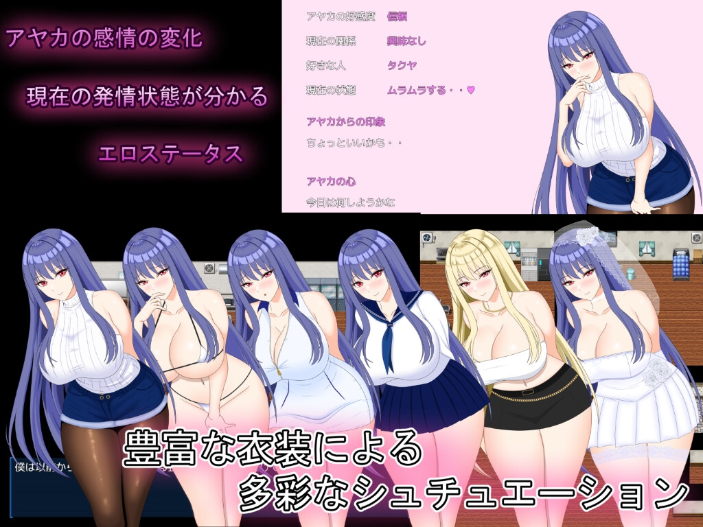 完璧彼女 ~寝取らせ撮影記録~