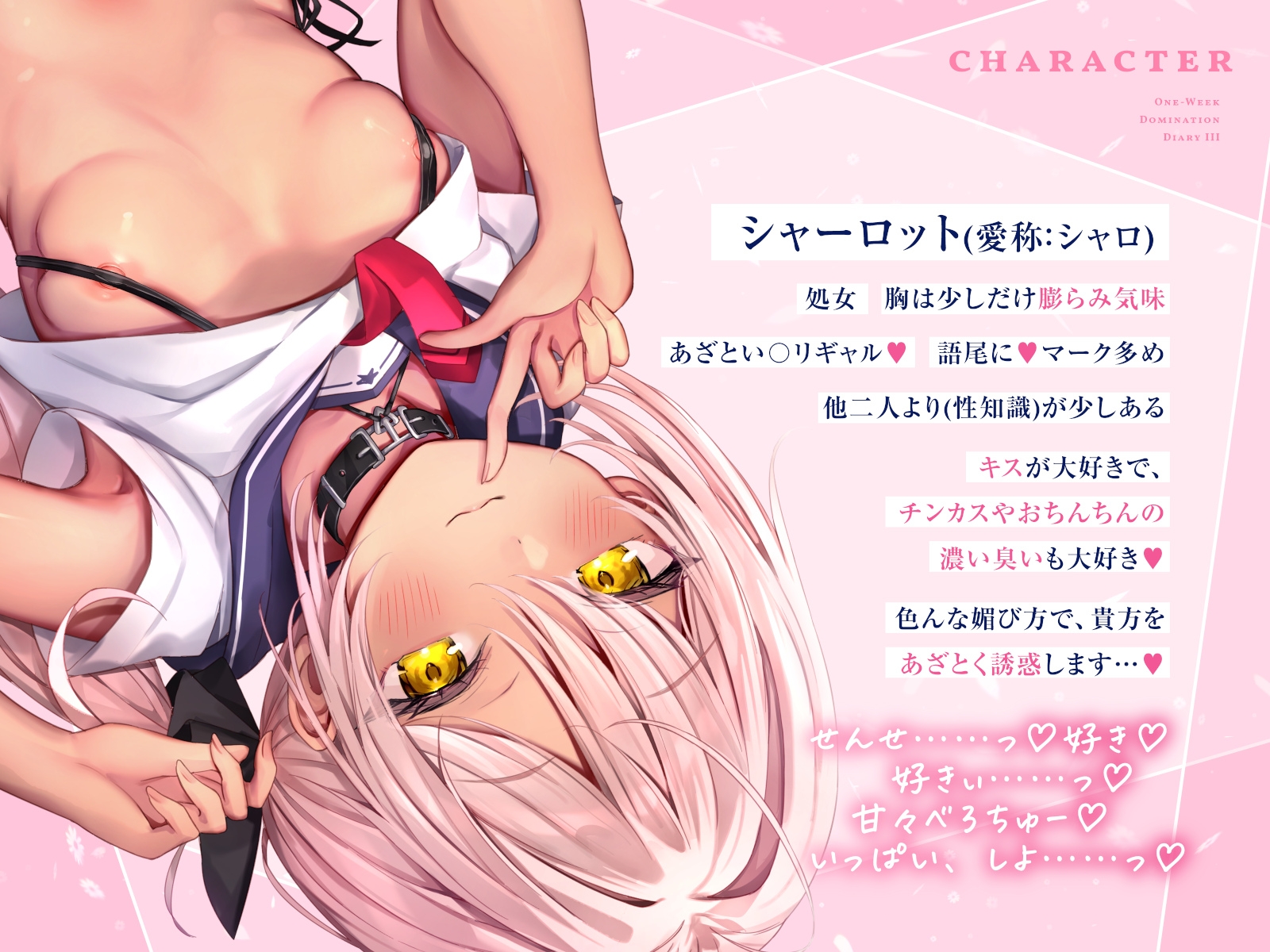 【媚び媚び催○】○リ魔法少女の一週間調教日記III～汚ちんちん&チンカスで下品な性奴○調教～