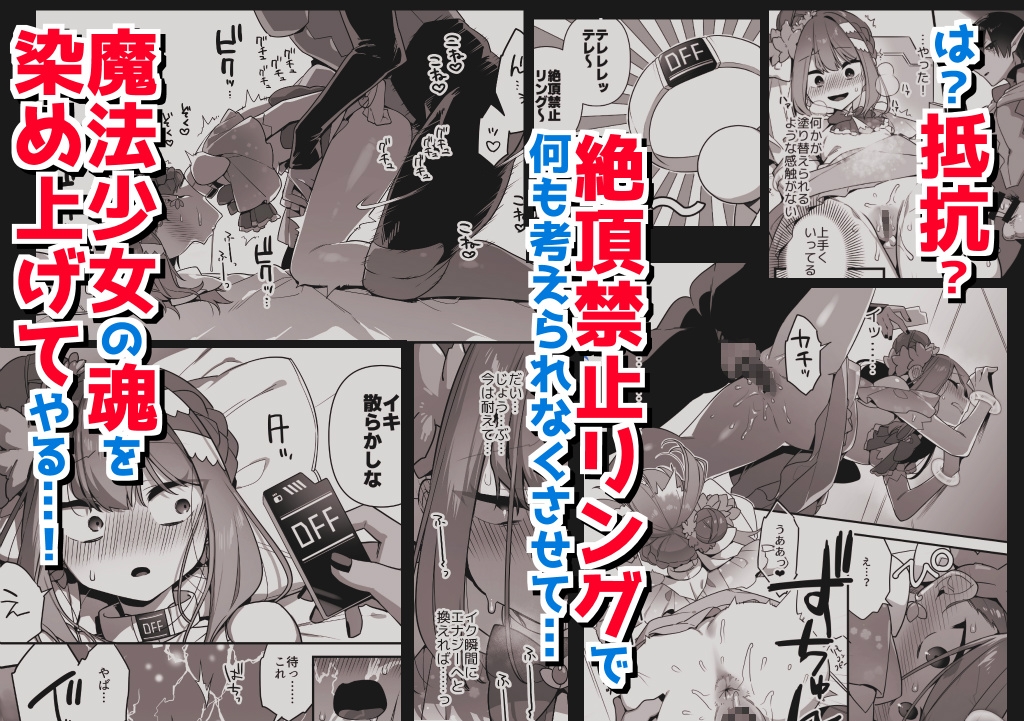 悪の手先になったので。～魔法少女を凌○します～3前編