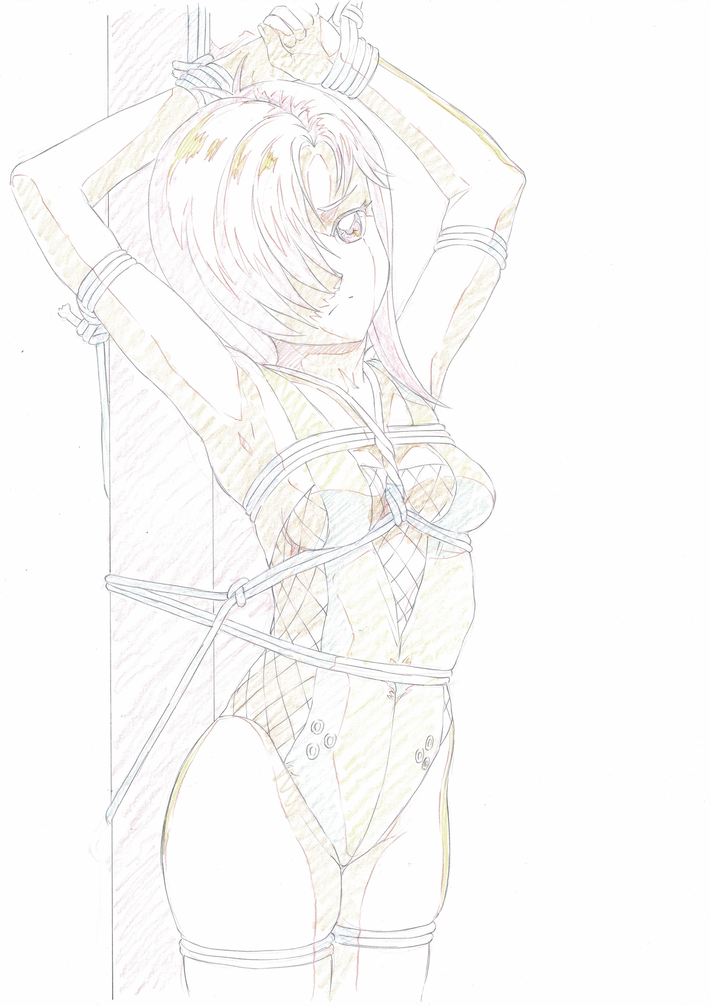 とき◯モ 1&2 ヒロイン緊縛イラストらふ原画集