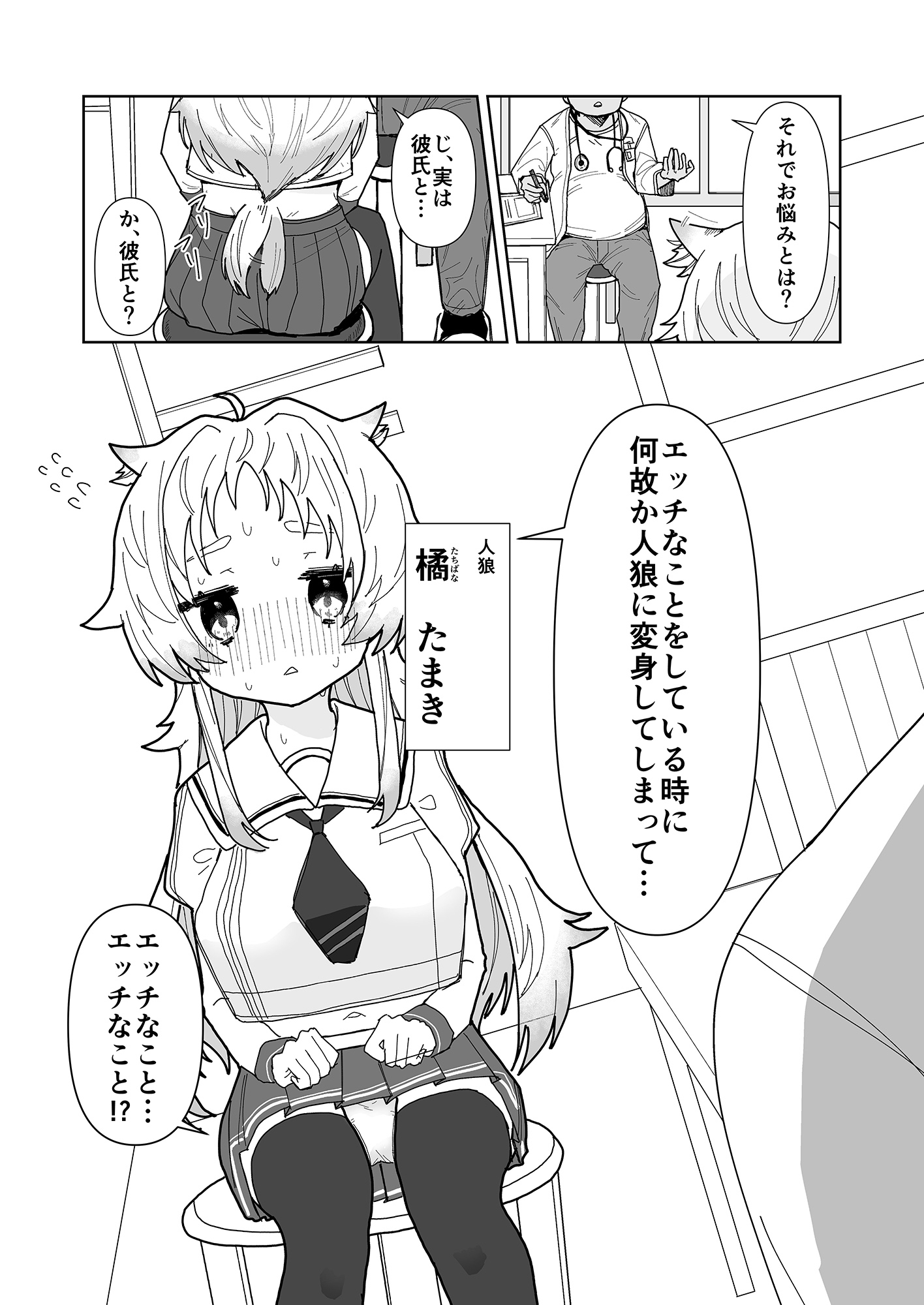 人狼の診療録(カルテ)