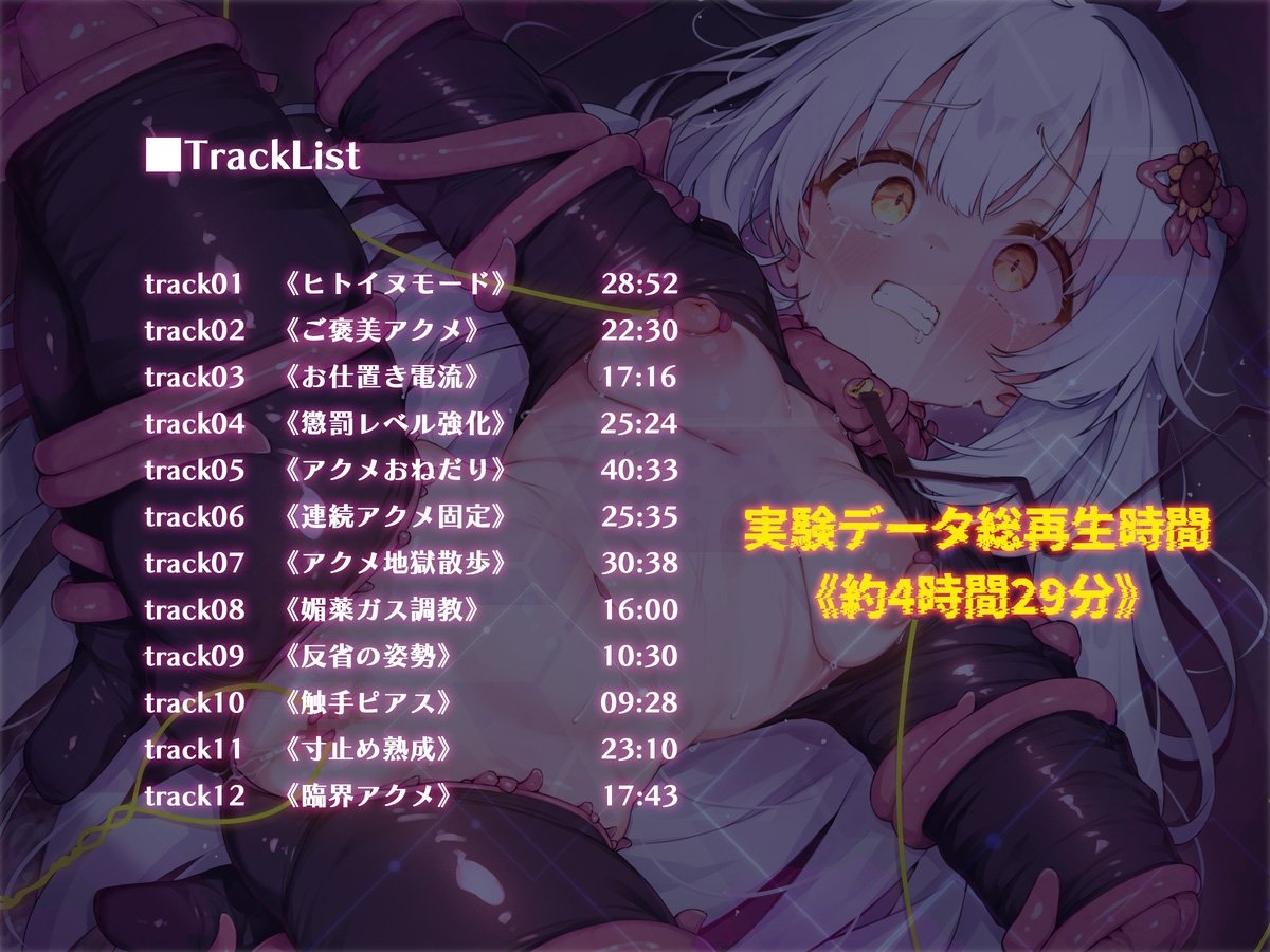 絶対服従プログラムV 実験体4098 ～ヒトイヌ拘束服従訓練～