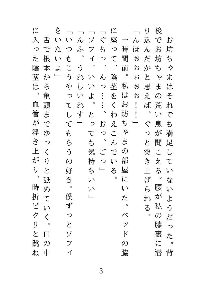 爆乳メイドは夜の窓辺で犯される