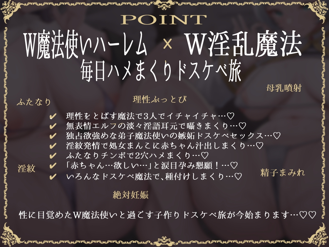 【W魔法使い×Wハーレム】無表情エルフ&デカ乳魔法使いと魔法でドスケベ子作り旅記録