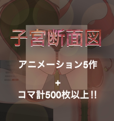 子宮断面図 〜産卵と触手‼︎〜