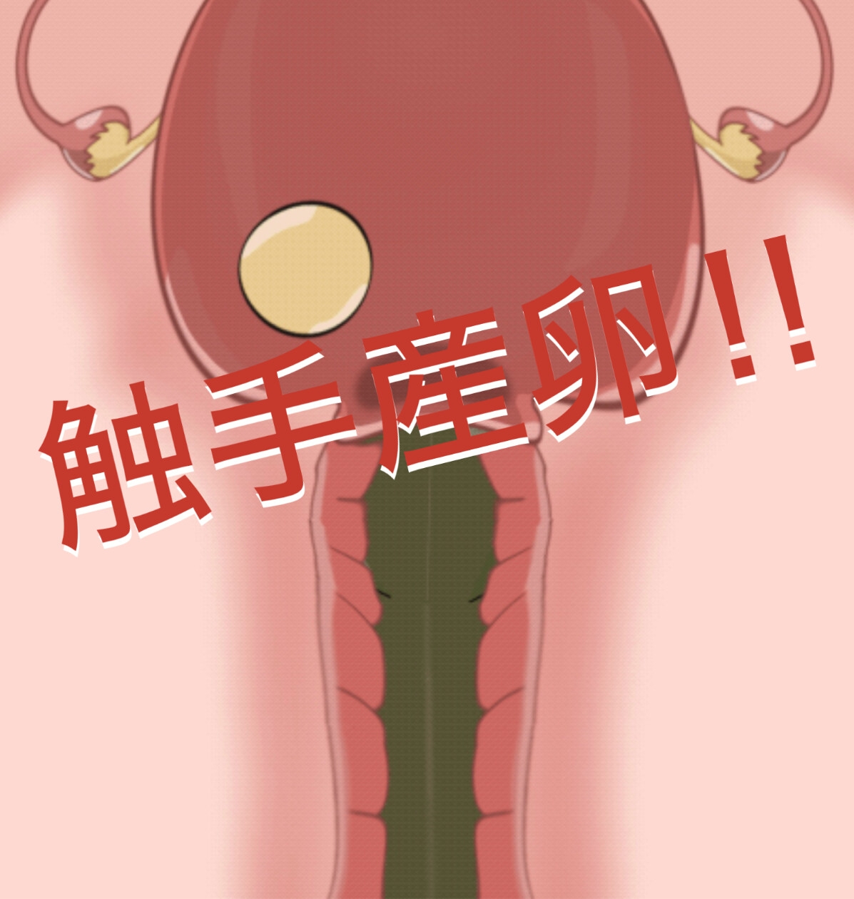 子宮断面図 〜産卵と触手‼︎〜