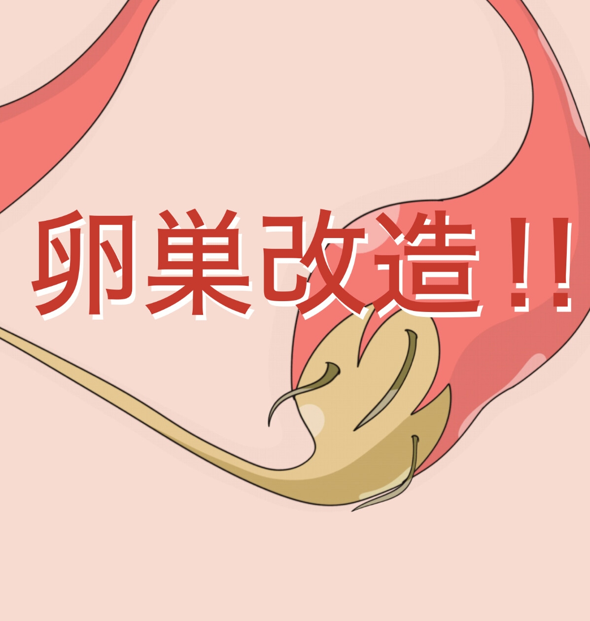 子宮断面図 〜産卵と触手‼︎〜