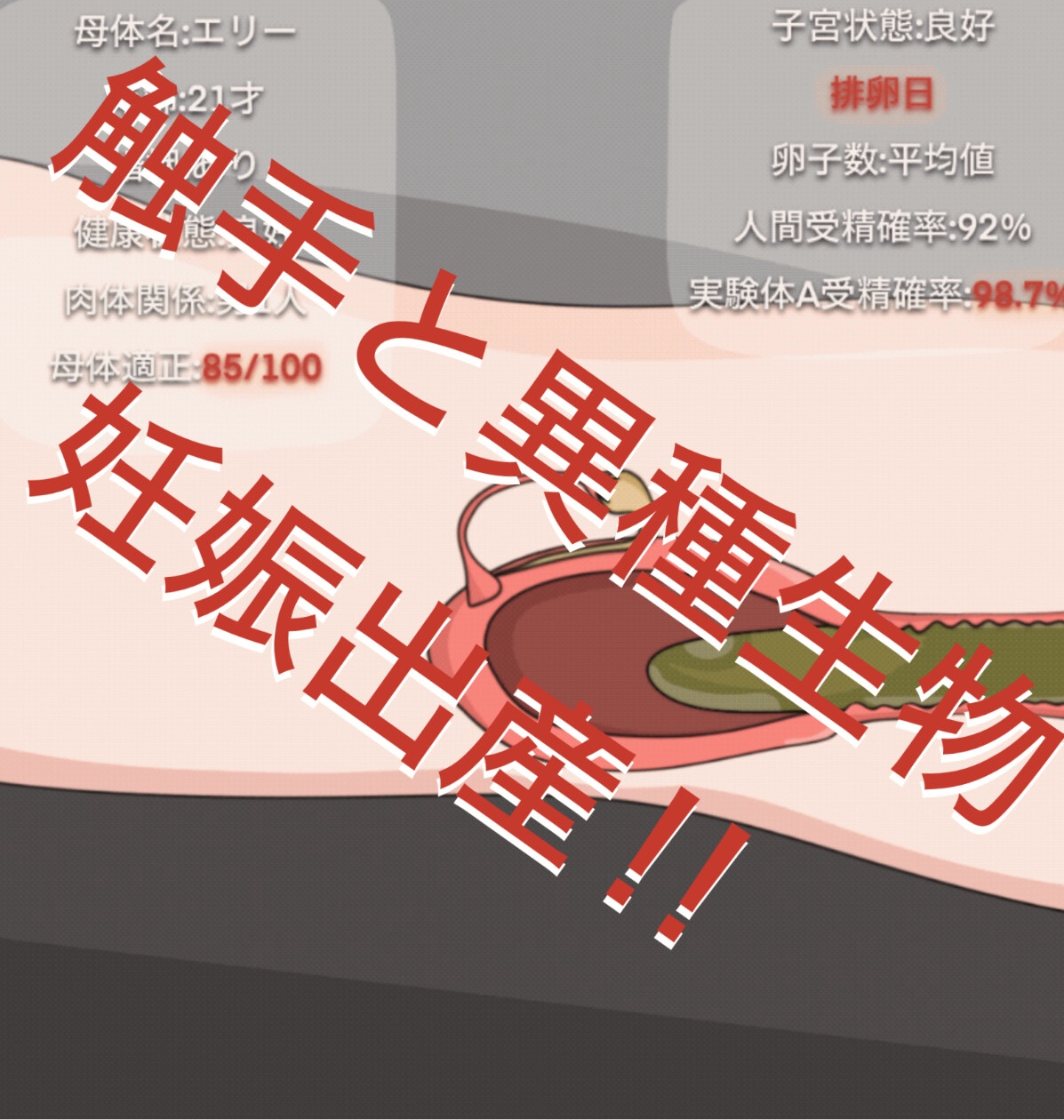 子宮断面図 〜産卵と触手‼︎〜