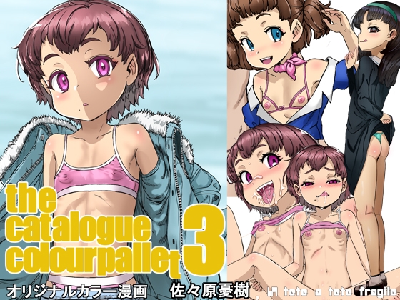 the catalogue colourpallet3