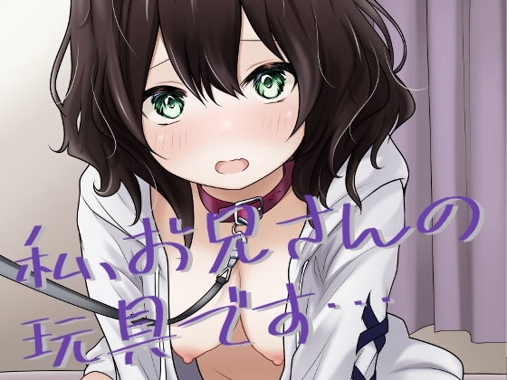 私、お兄さんの玩具です…