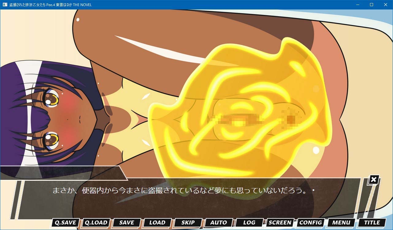 盗撮された排泄乙女たち Pee.4 東雲はるか THE NOVEL