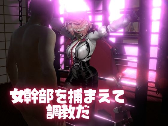 Vtuber鷹〇ルイを調教してメスということを分からせる動画パック「Taka〇e Lui」