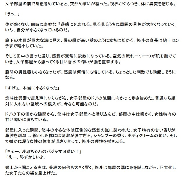 修学旅行の夜、禁断の小冒険