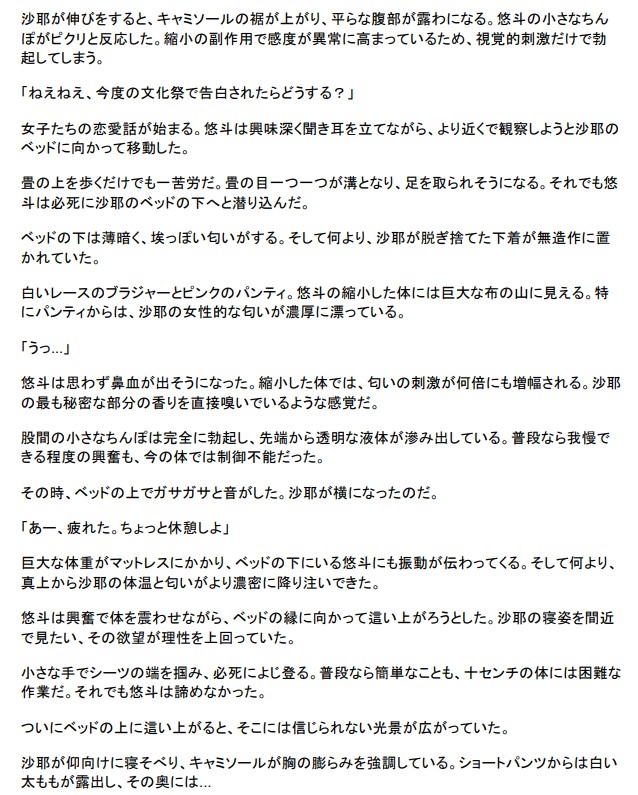 修学旅行の夜、禁断の小冒険