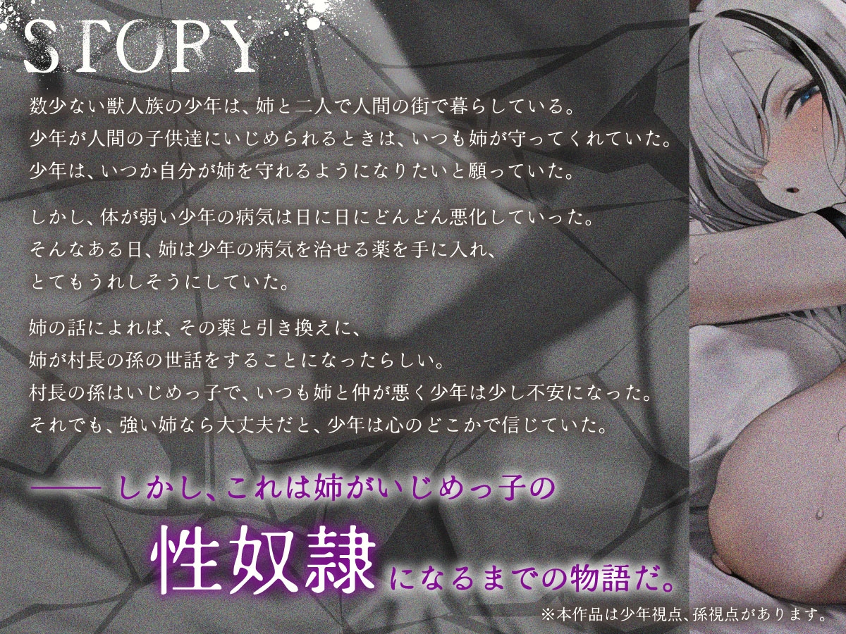 姉とられ ~最愛の姉がいじめっ子の性奴○になるまで~