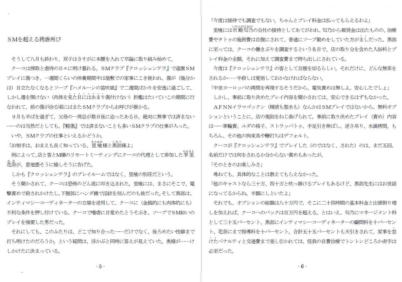 800万円のDVR:4弄辱処分編