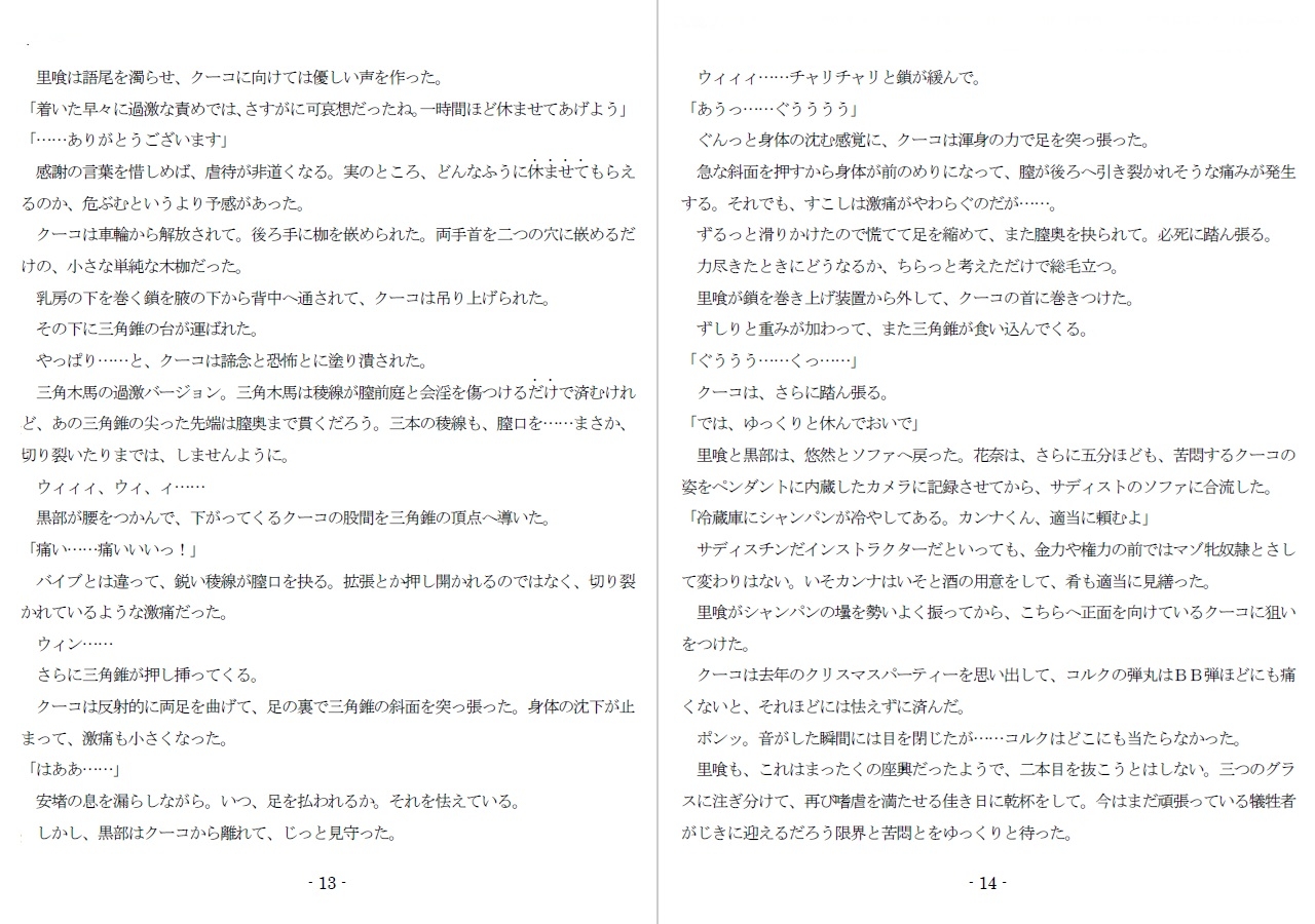 800万円のDVR:4弄辱処分編