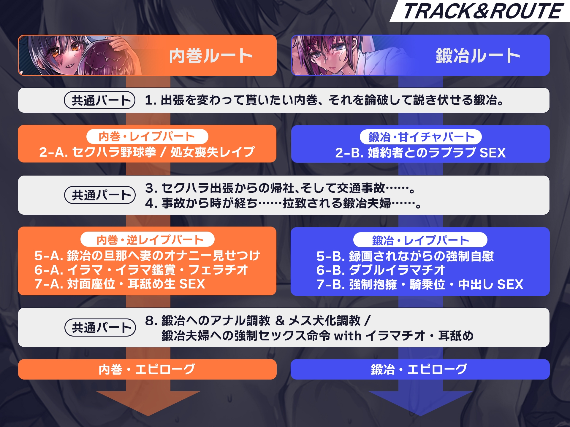 【NO即落ち‼ YES蹂躙‼】私は悪くないのに… ～沈めぬ泥沼の中で哭き嗤う彼女達～【3時間30分超の凌○&NTR劇】